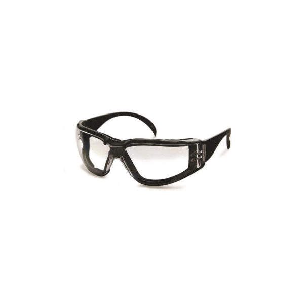 DENTEC CEETEC DX Safety Glasses with Foam CLEAR