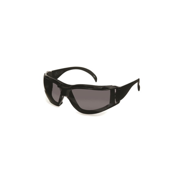 DENTEC CEETEC DX Safety Glasses with Foam GREY